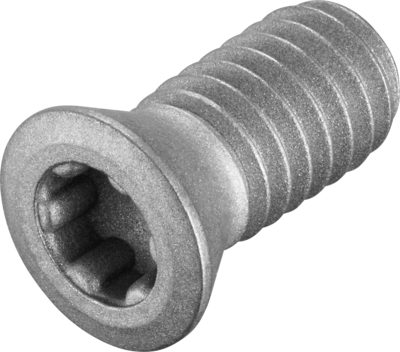 FS2080 Screws with head